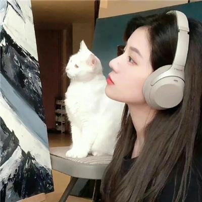 白山新歌