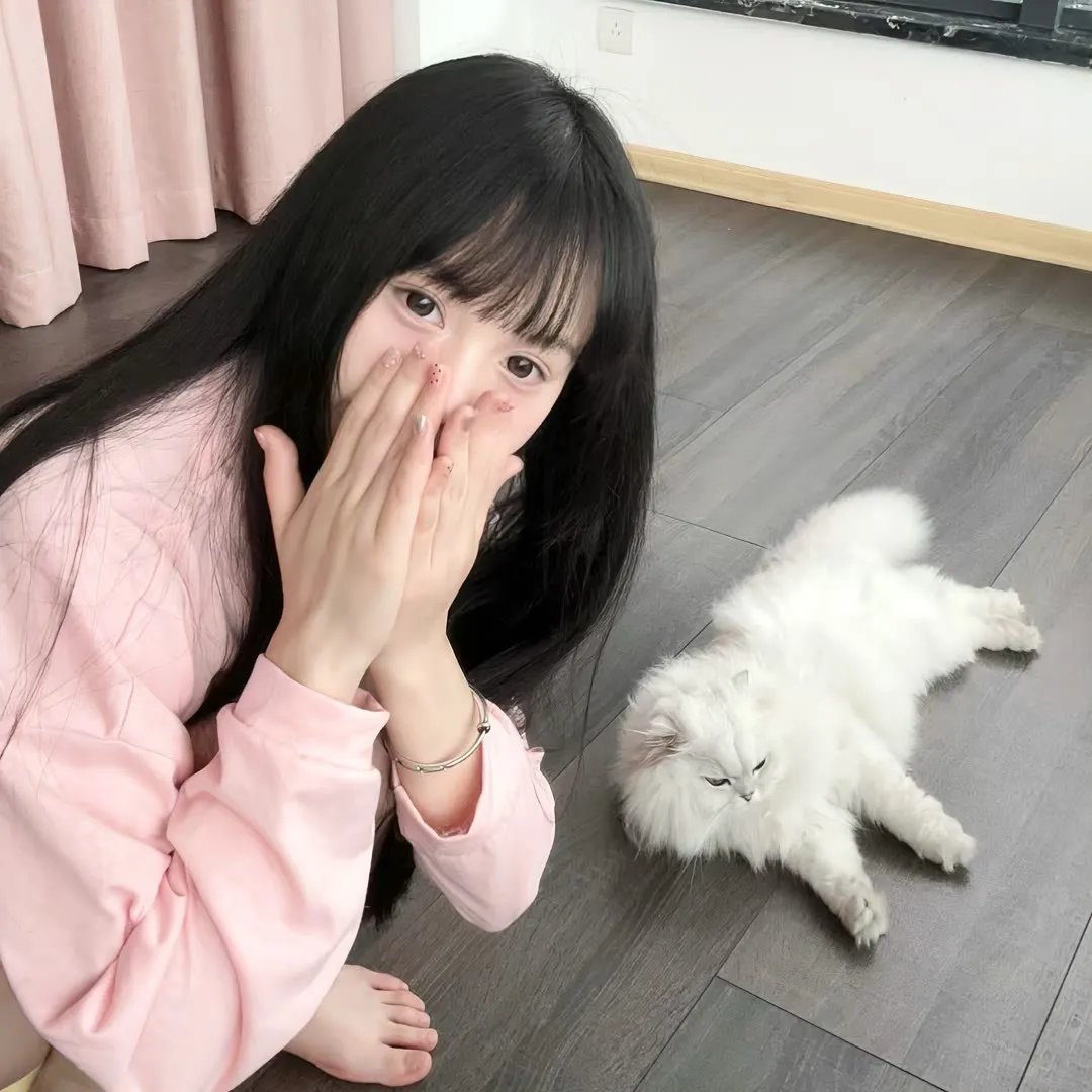 阿玛迪斯